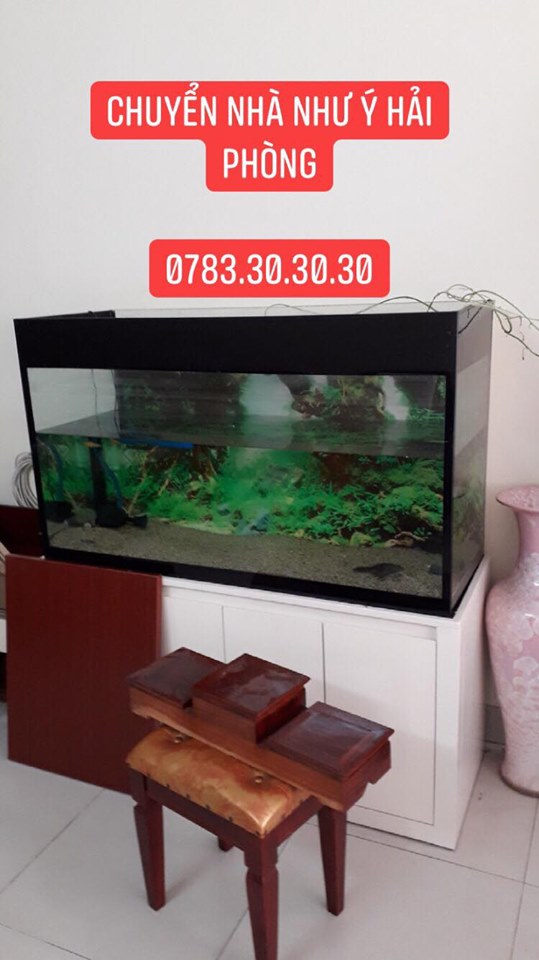 phương pháp vận chuyển bể cá